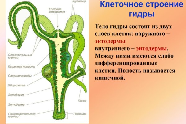 Кракен это наркозависимость