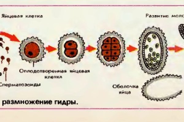 Кракен интернет