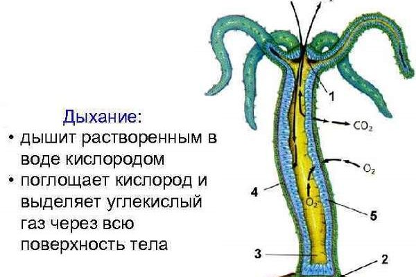 Кракен маркетплейс нарко